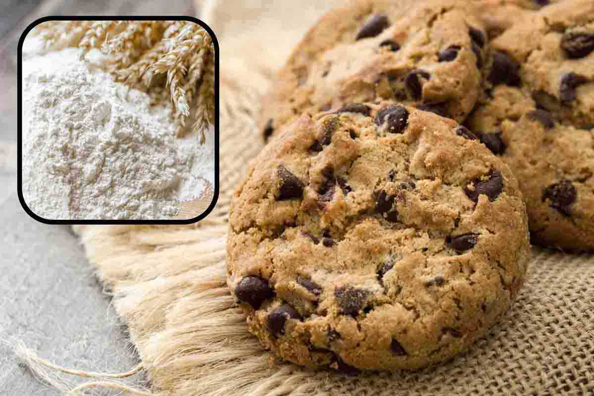 ricetta biscotti senza farina