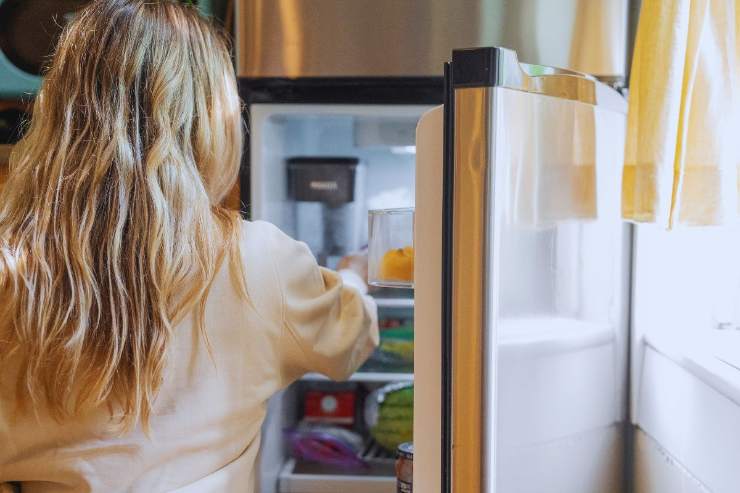 Come conservare il cibo in frigo d'estate