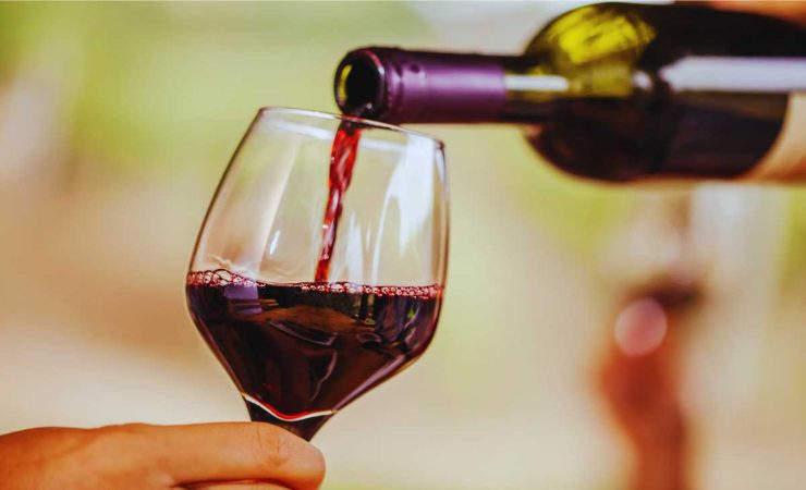 la scoperta sul vino che può far dimagrire